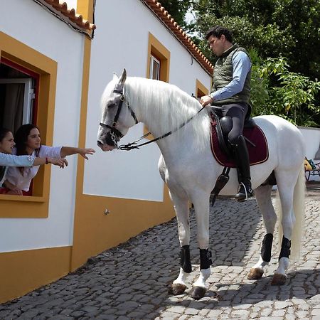 Quinta Do Malhinha- Turismo Villa Angra do Heroísmo Exterior photo