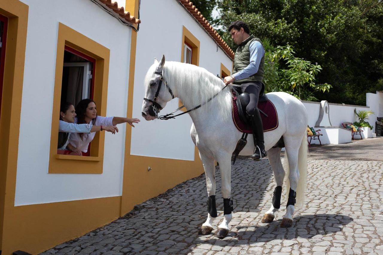 Quinta Do Malhinha- Turismo Villa Angra do Heroísmo Exterior photo