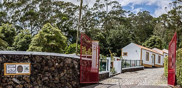 Quinta Do Malhinha- Turismo Villa Angra do Heroísmo Exterior photo